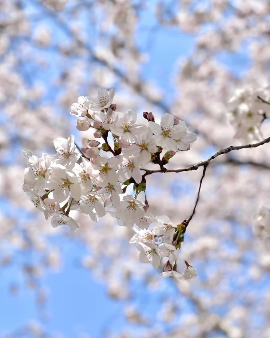 하영교회 메인 이미지